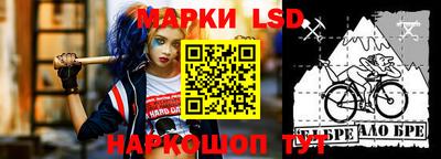 гидропоника Сланцы