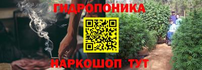 гидропоника Сланцы